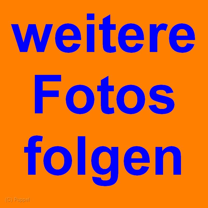 Z WEITERE FOTOS FOLGEN.jpg